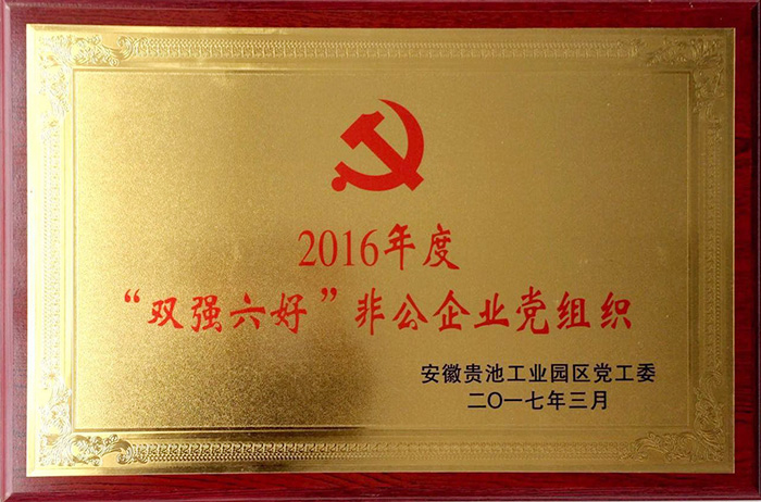 園區(qū)—2016年度雙強(qiáng)六好